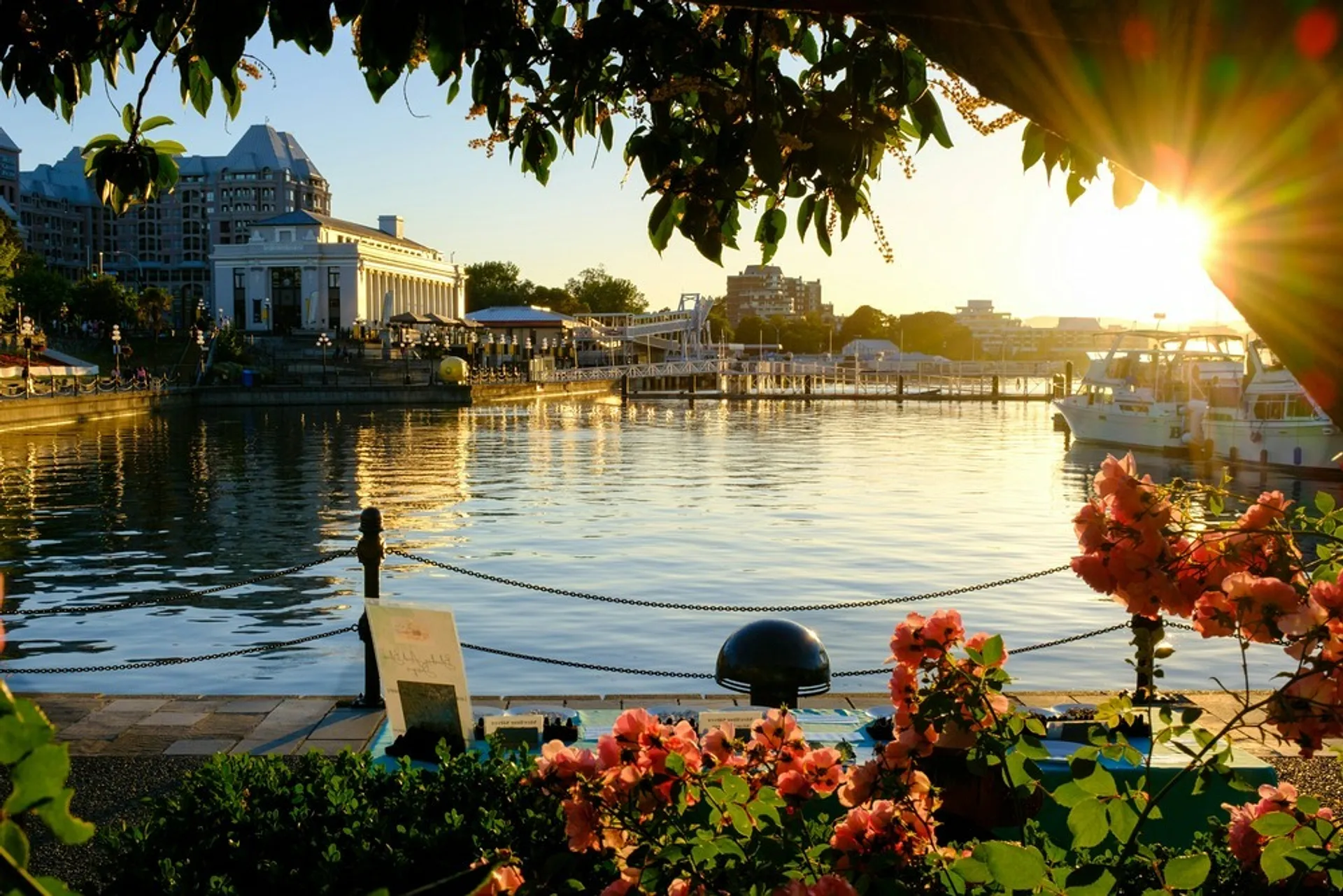 Sunset casts a warm glow over Victoria Inner Harbour in British Columbia, framed by blooming flowers and boats docked along the pier.