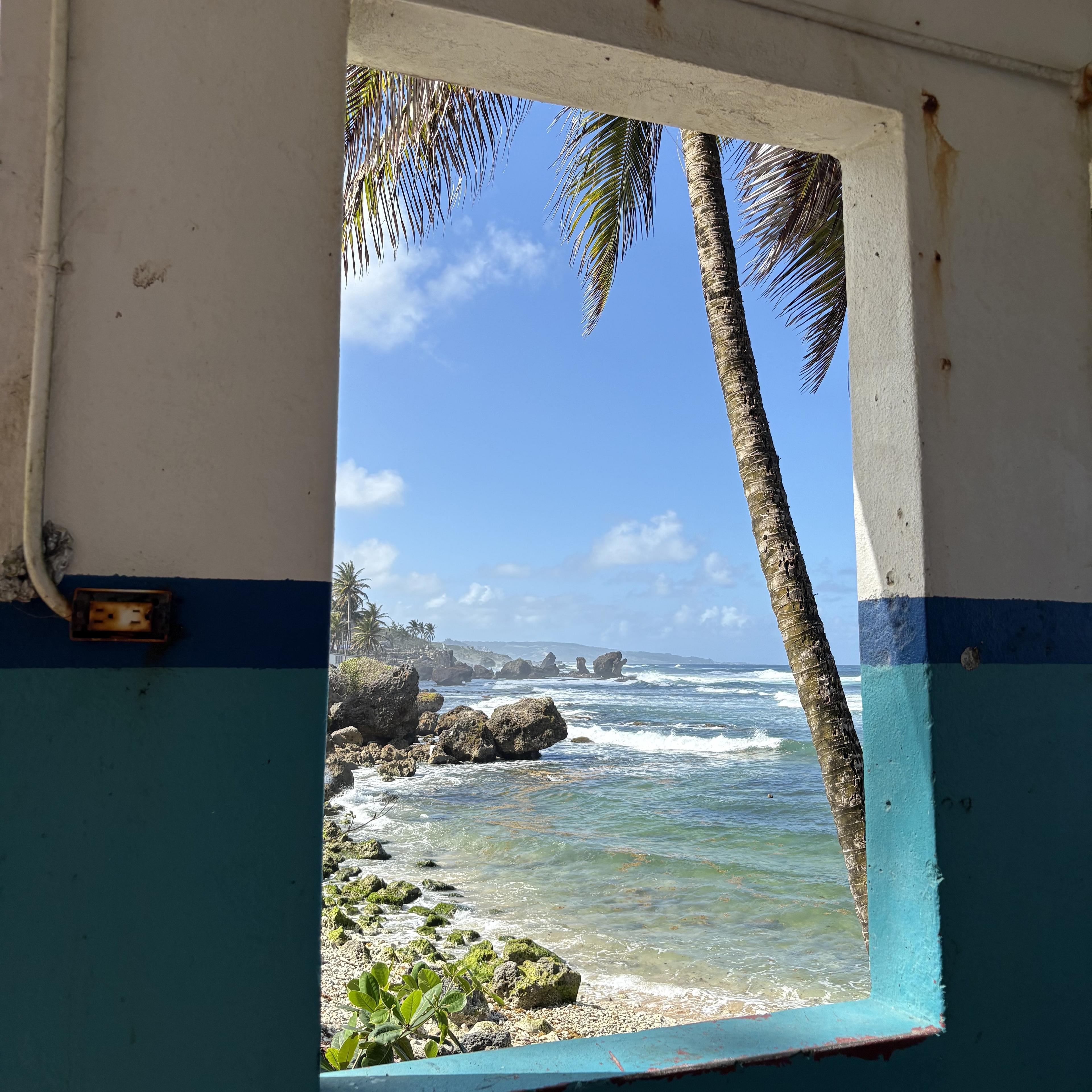 A picturesque view through a window reveals the rugged coastline of Bathsheba Beach in Barbados, framed by palm trees and turquoise waters.